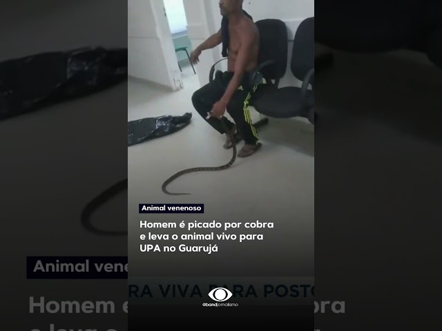 Homem é picado por cobra e leva o animal vivo para UPA no Guarujá #shorts