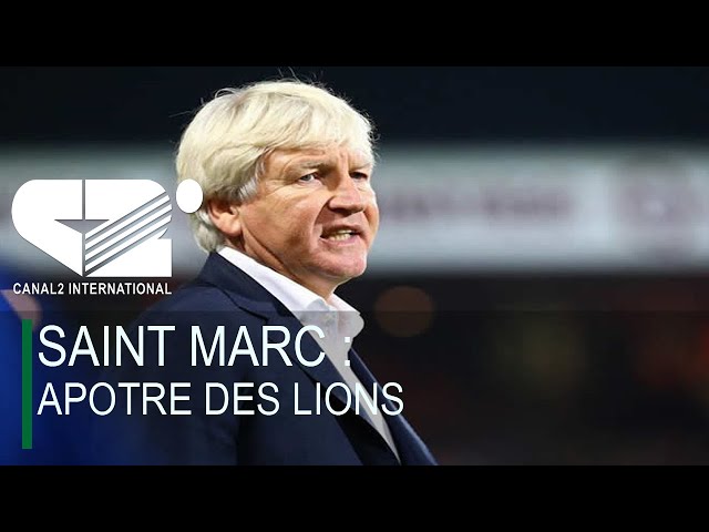 ⁣SAINT MARC : APOTRE DES LIONS