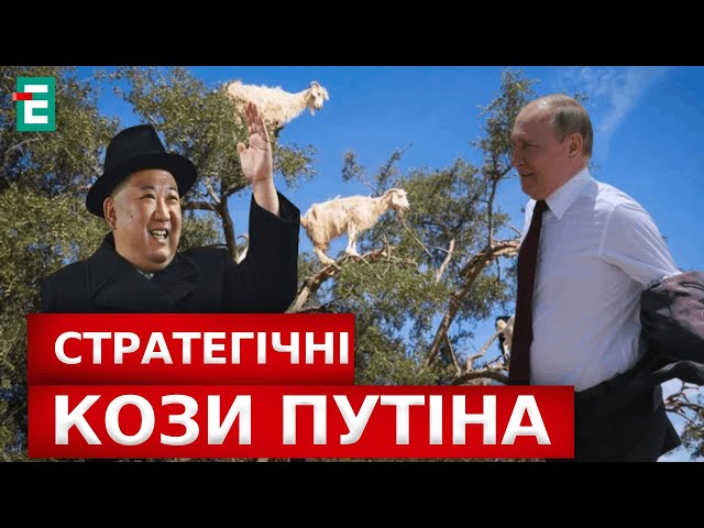 ⁣Електричка Москва - Пєтушкі Як Путін кіз водив до Кім Чен Ина