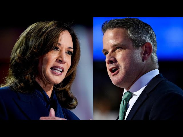 ⁣Kamala Harris DNC speech vision, Republican Adam Kinzinger says country comes first