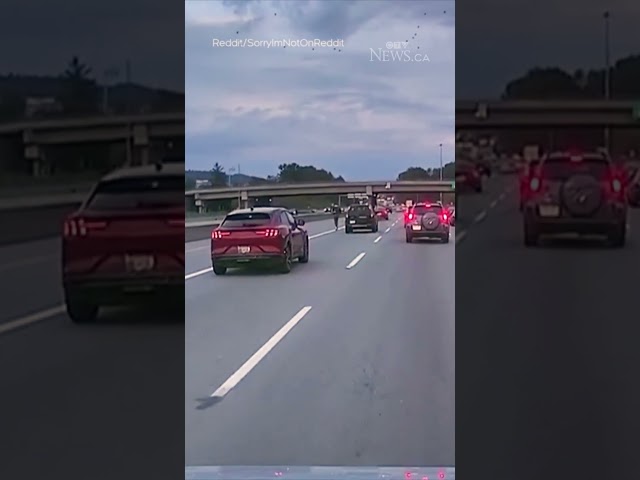 ⁣Man spotted riding e-scooter on B.C.’s Hwy. 1