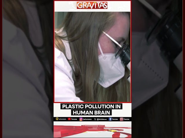 ⁣Plastic pollution in Human Brain | Gravitas | WION Shorts