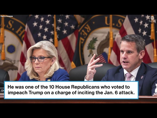 ⁣Who is former Rep. Adam Kinzinger, the Republican who spoke at the DNC?