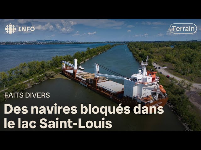 ⁣Un navire-cargo s’échoue dans le fleuve Saint-Laurent et bloque la voie maritime