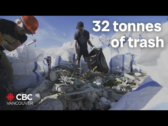 ⁣Boat tour companies clean up over 32 tonnes of pollution from B.C. coastline