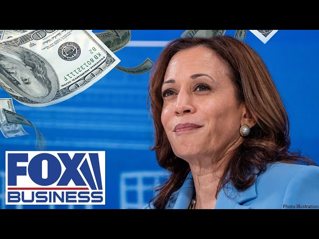 ⁣You will see over $4T in tax hikes if Kamala 'gets her wish': Kevin Brady