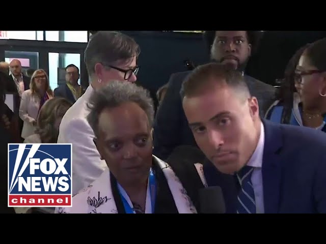 ⁣'Jesse Watters Primetime' questions DNC attendees