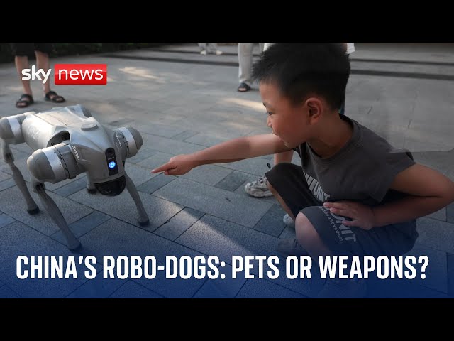 ⁣China: Robo-dog maker surprised as its machines armed with guns in military exercises