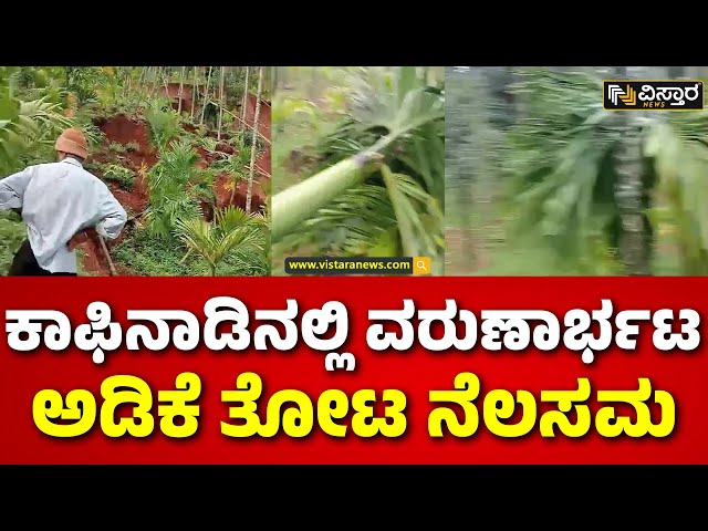 ⁣Heavy Rain In Chikkamagaluru | Rain Effect  | ಚಿ ಚಿಕ್ಕಮಗಳೂರು ಜಿಲ್ಲೆಯಲ್ಲಿ ಮಳೆಯ ಅಬ್ಬರ  | Vistara News