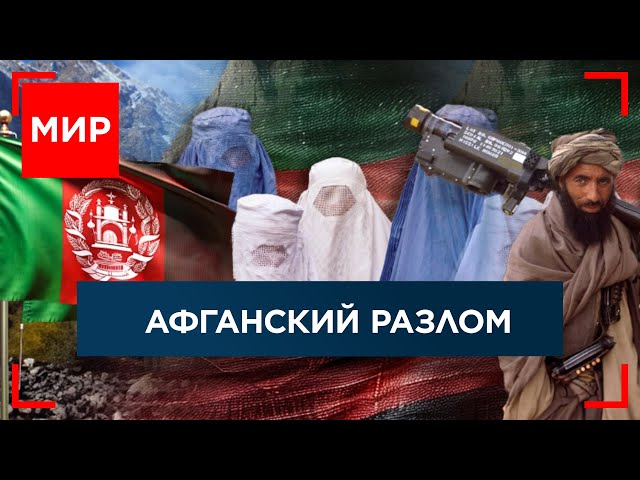 ⁣Талибан: 3 года у власти. Мирный процесс в Газе на паузе. Ставка на Харрис. МИР