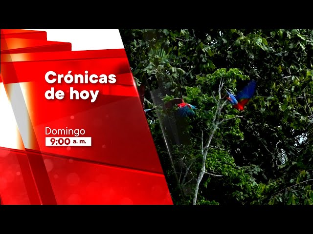 Crónicas de Hoy (25/07/2024) Promo | TVPerú