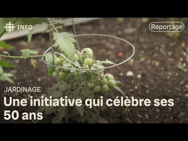 ⁣Des jardins communautaires pour la sécurité alimentaire