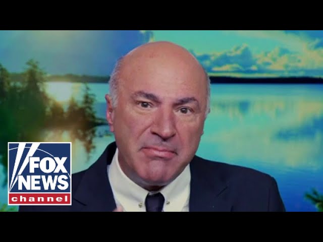 ⁣Kevin O'Leary: This may prove to be a huge mistake for the Democrats