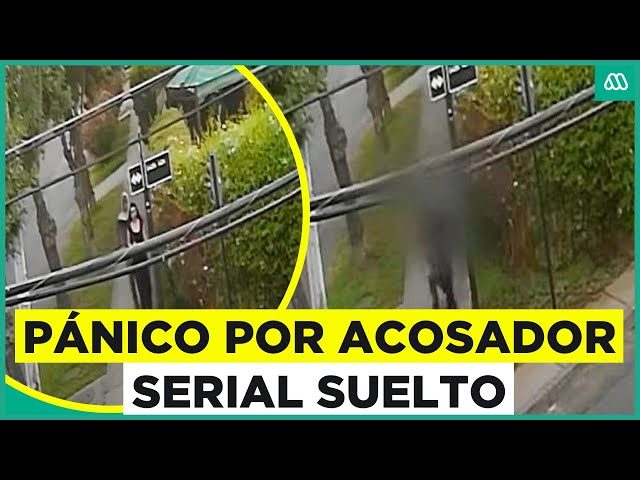 Buscan a acosador serial en La Florida: 14 víctimas han denunciado