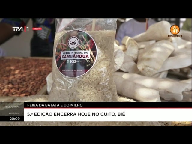 Feira da batata e do milho - 5.ª edição encerra hoje no Cuito, Bié