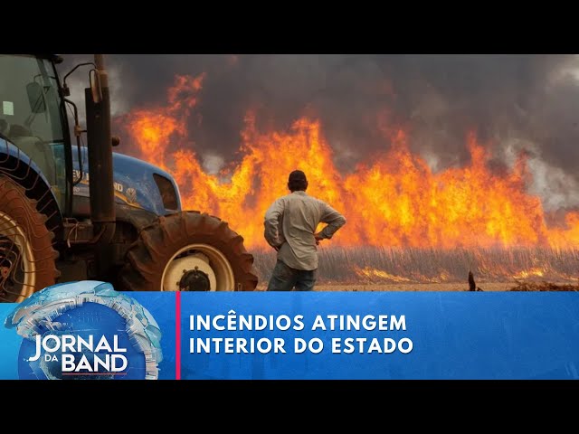 ⁣Sobe para 3 o número de mortos devido aos incêndios em São Paulo | Jornal da Band