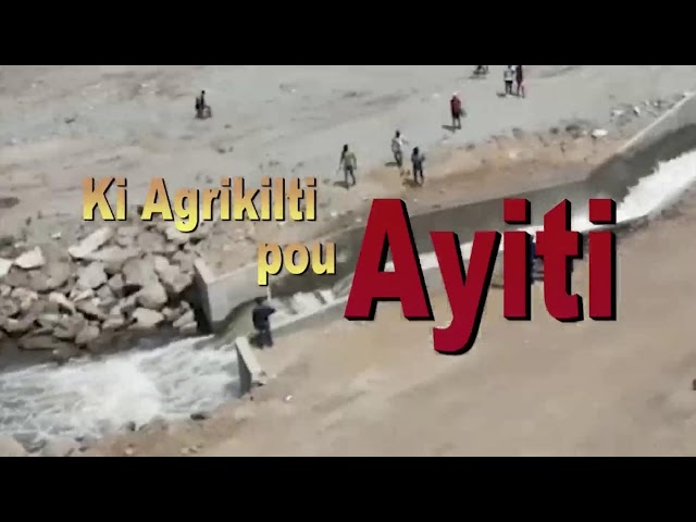 ⁣KI AGRIKILTI POU AYITI|24 AOÛT 2024