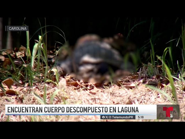 ⁣No descartan que cuerpo hallado en laguna corresponda a septuagenario desaparecido