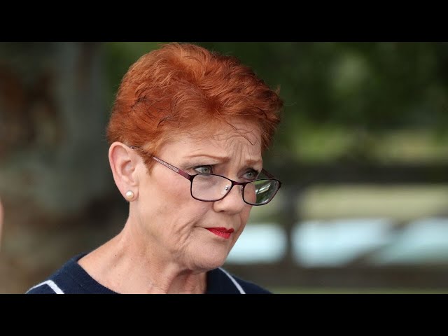 Pauline Hanson does ‘not play the victim’ despite enormous ‘hostility’