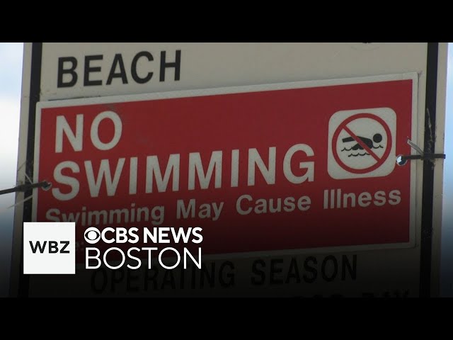 ⁣50 Massachusetts beaches closed weekend before Labor Day due to unsafe bacteria levels