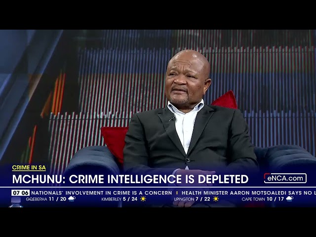 Crime intelligence is depleted - Mchunu