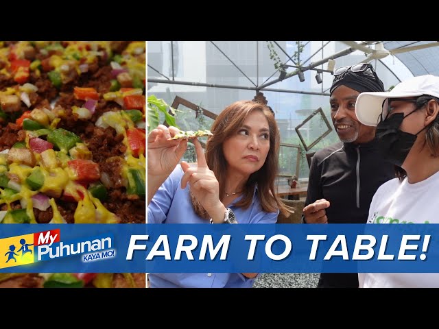 ⁣'My Puhunan: Kaya Mo!': Urban farm sa BGC paano nakatutulong sa iba?