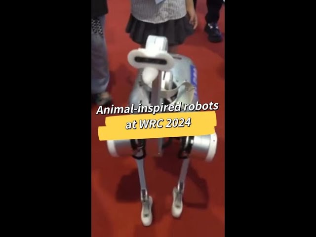 ⁣Animal-inspired robots draw attention at WRC 2024