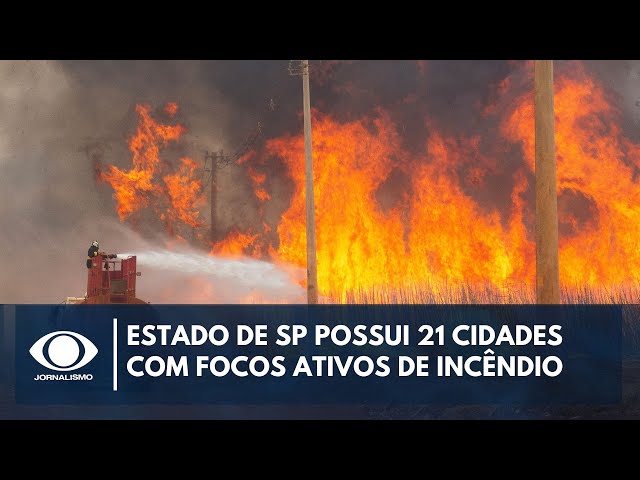 Estado de SP possui 21 cidades com focos ativos de incêndio