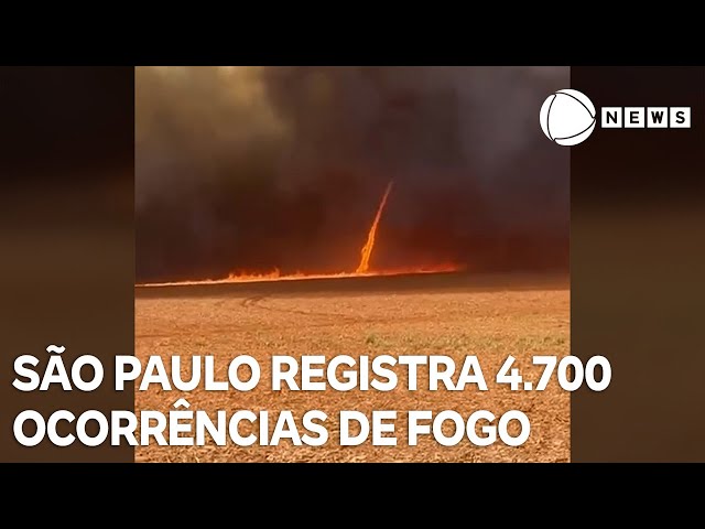 São Paulo registra 4.700 ocorrências de fogo em agosto