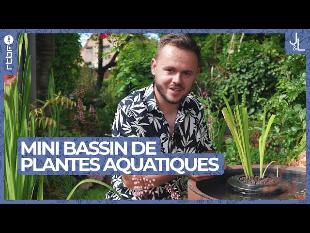 ⁣Mini bassin garni de plantes aquatiques | Jardins et Loisirs