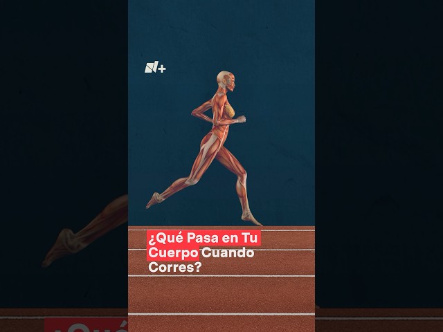 ⁣¿Qué le pasa a tu cuerpo cuando corres? - N+ #shorts