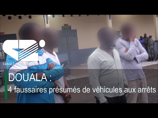 ⁣DOUALA : 4 faussaires présumés de véhicules aux arrêts