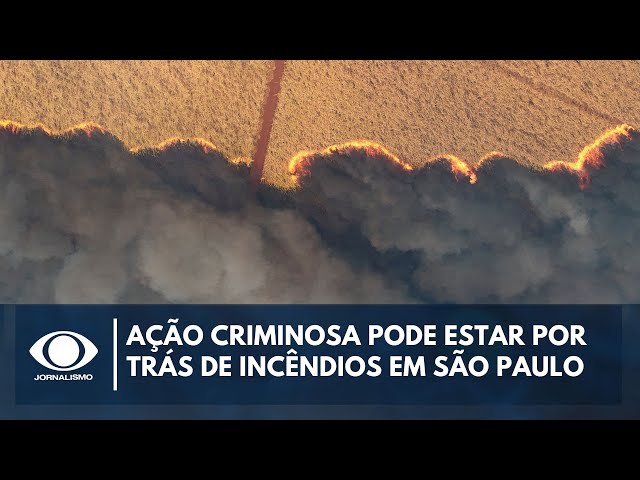 Ação criminosa pode estar por trás de incêndios em São Paulo