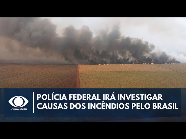 Polícia Federal irá investigar causas dos incêndios pelo Brasil