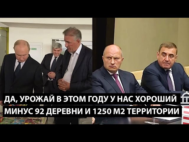 ⁣Да, урожай в этом году у нас хороший.... МИНУС 92 ДЕРЕВНИ и 1250 М2 территории....