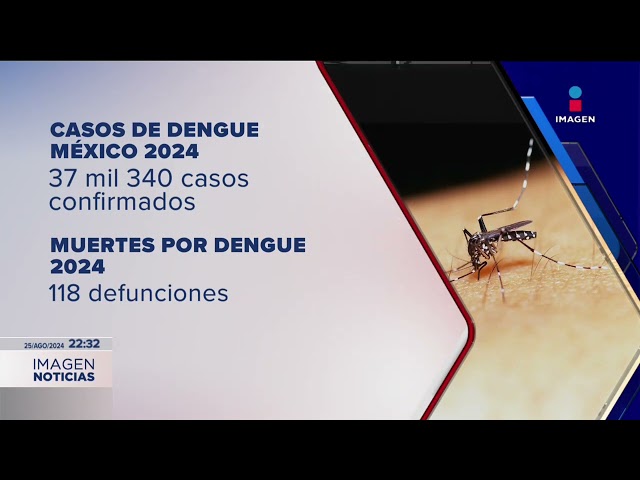 ⁣Casos confirmados y muertes por dengue en México en lo que va de 2024