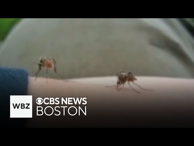 ⁣After human case of EEE found, Plymouth and Worcester counties will be sprayed for mosquitos