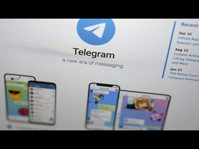 In Frankreich in Haft: Russische Aktivisten fordern Freilassung von Telegram-Gründer Durow