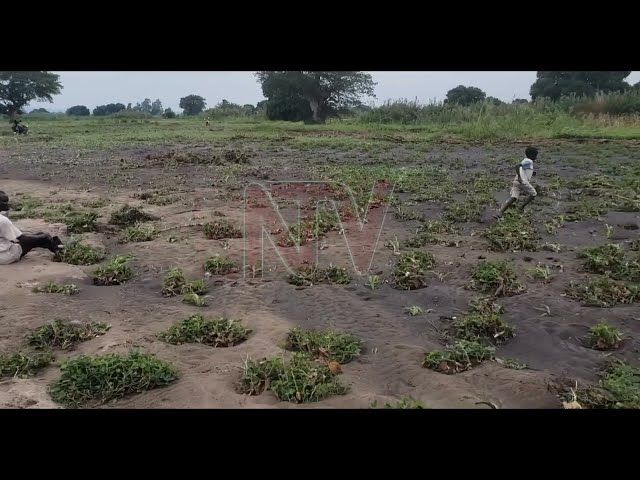 ⁣Over 50 households in Moyo district affected by floods