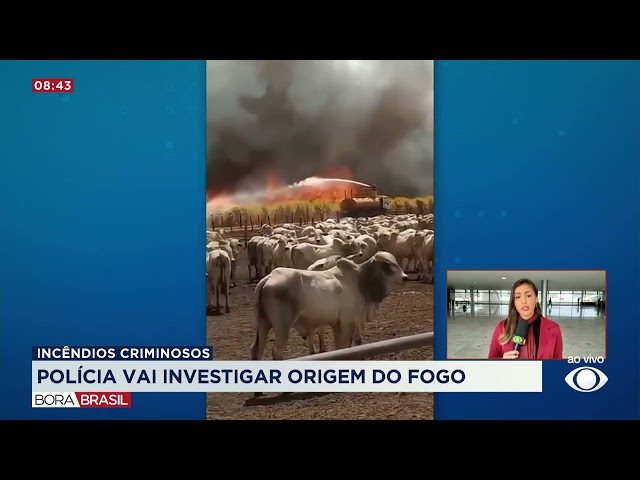 ⁣PF investiga envolvimento de criminosos nas queimadas no interior de SP