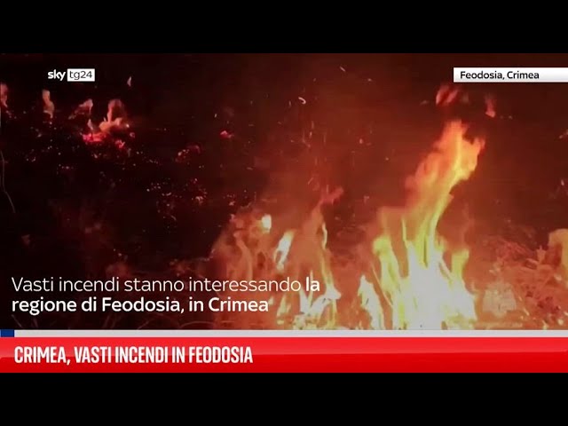 ⁣Crimea, vasti incendi nella regione di Feodosia