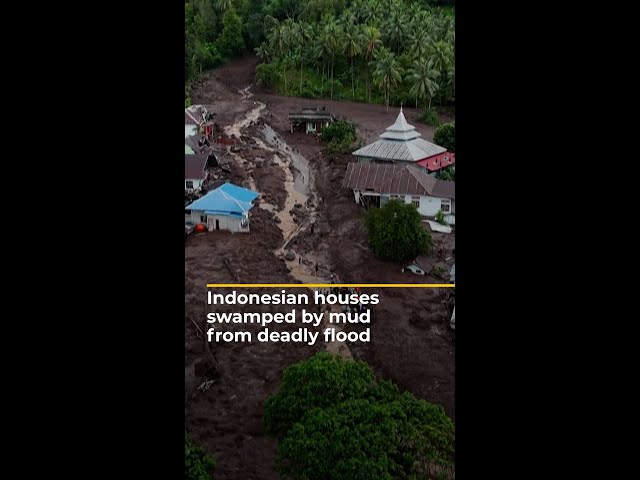 ⁣Video shows Indonesian houses swamped by mud from deadly flood | AJ #shorts