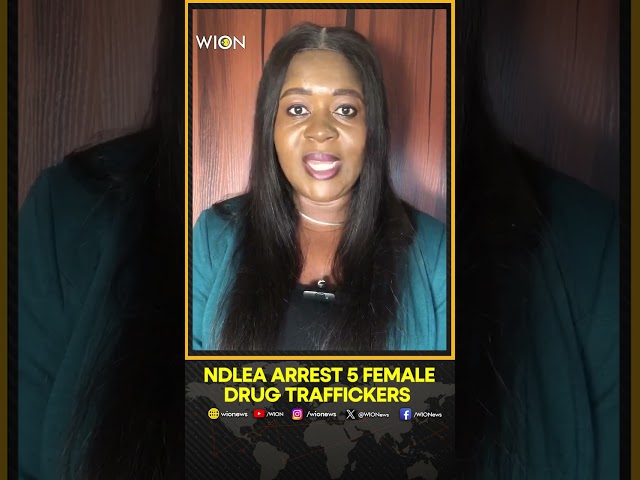 ⁣NDLEA arrests five cross-border female drug traffickers at Seme border | WION Shorts