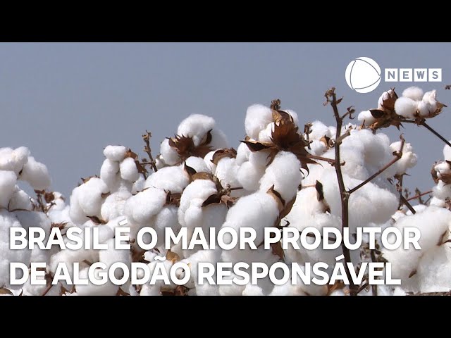 ⁣Brasil é o maior produtor de algodão responsável