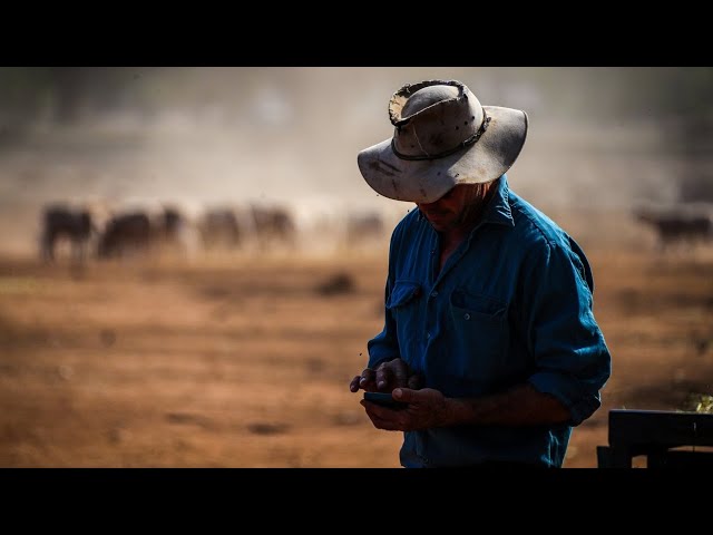 ‘Ridiculous’: Dairy brand power bill surge spells concern for Australian businesses