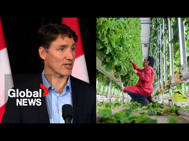 ⁣Trudeau government to limit low-wage temporary foreign workers in Canada