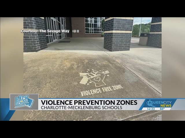 ⁣CMS campuses show anti-violence messages by local artist