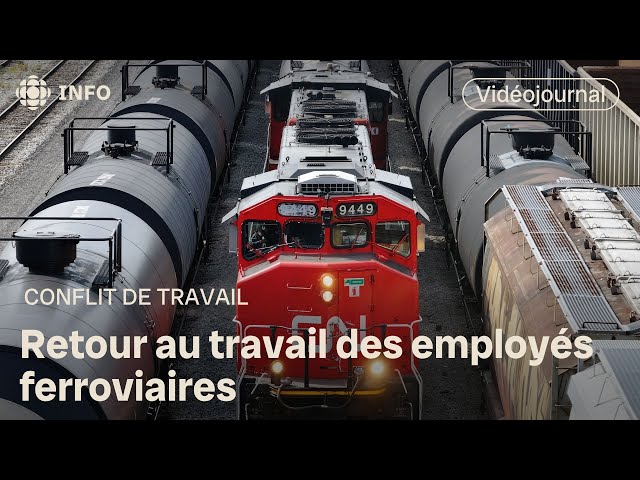 ⁣Les agriculteurs heureux de pouvoir expédier leurs produits | Vidéojournal