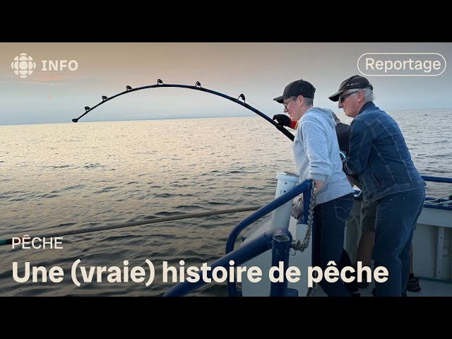 ⁣Un thon de 850 livres pêché dans le Saint-Laurent