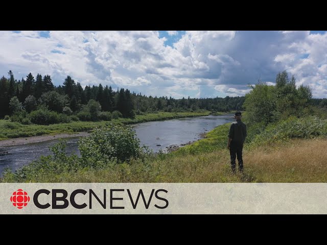 ⁣Remembering the days when New Brunswick's Salmon River had salmon